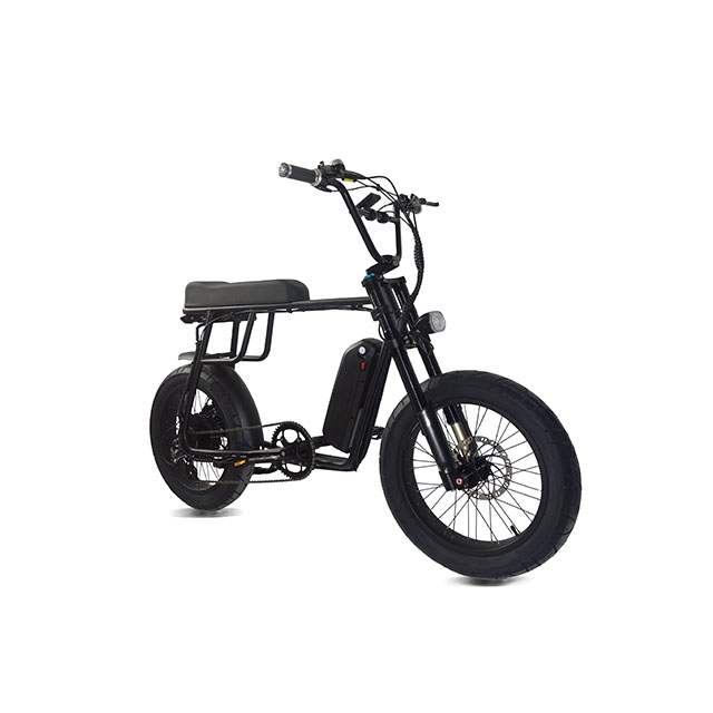 mario ebike price